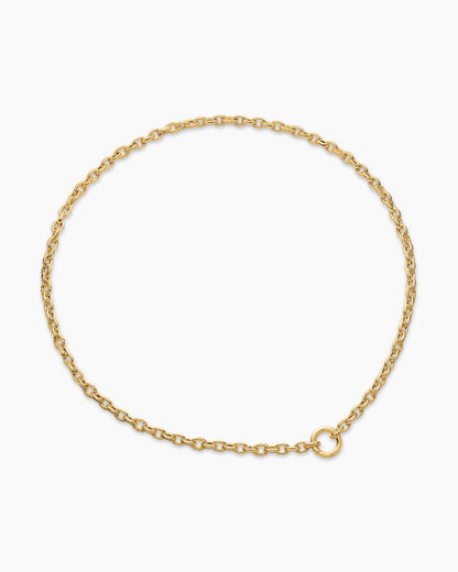 David Yurman DY Mercer Petite Chain Necklace in 18K Yellow Gold, 4.5mm David Yurman Women’s