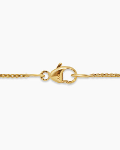 David Yurman Box Chain Necklace David Yurman Women’s