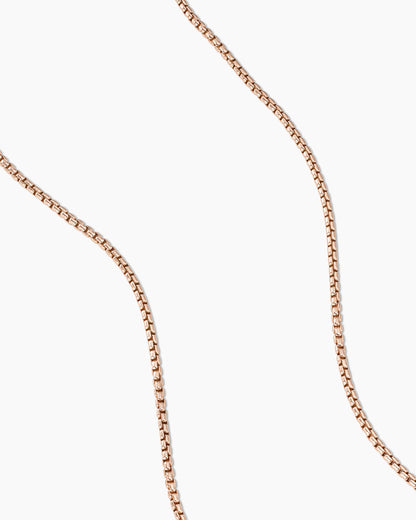 David Yurman Box Chain Necklace David Yurman Women’s
